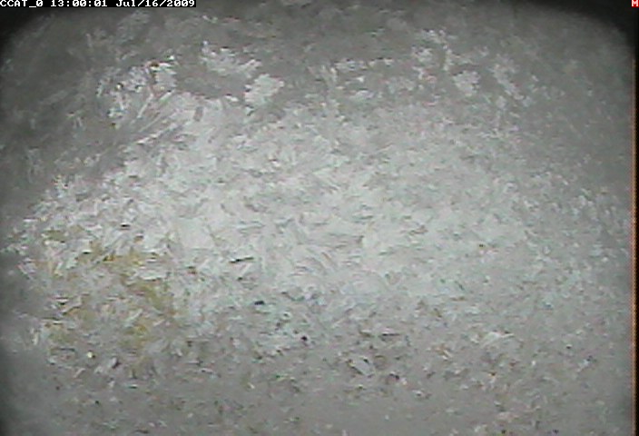 ccat0_20090716130001.jpg