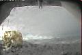 ccat0_20090713110000