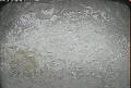 ccat0_20090715150000