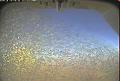 ccat0_20090723195959
