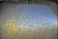 ccat0_20090723205959