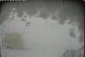 ccat0_20100501210000