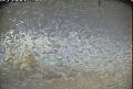 ccat0_20100517140000