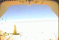 ccat0_20100709175959