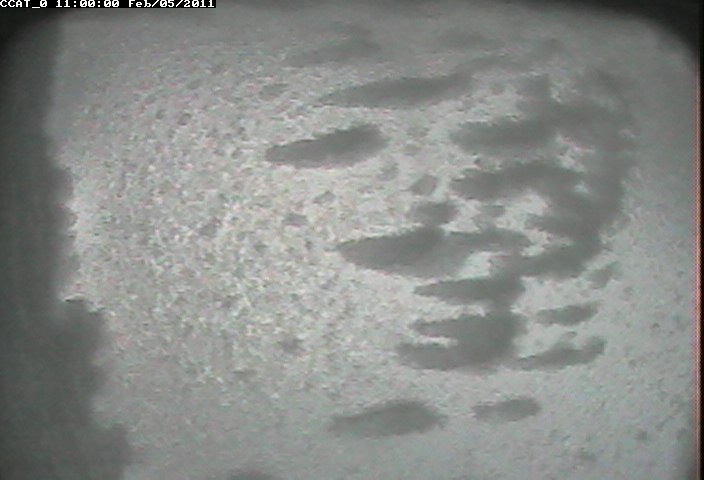 ccat0_20110205110000.jpg