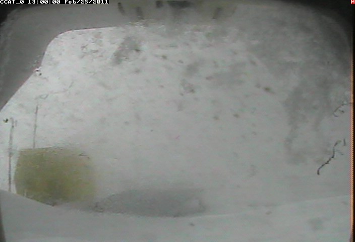 ccat0_20110225130000.jpg