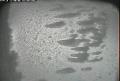 ccat0_20110205110000