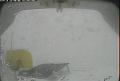 ccat0_20110205220000
