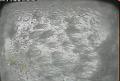 ccat0_20110206130000