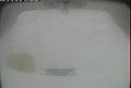 ccat0_20110220225959
