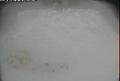 ccat0_20110301230000