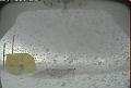 ccat0_20110304210000