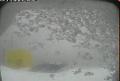 ccat0_20110304220000