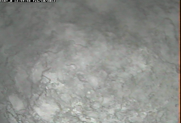 ccat0_20120210125958.jpg