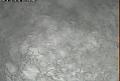ccat0_20120210125958