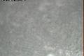 ccat0_20120211130001