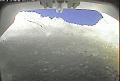 ccat0_20120212130000